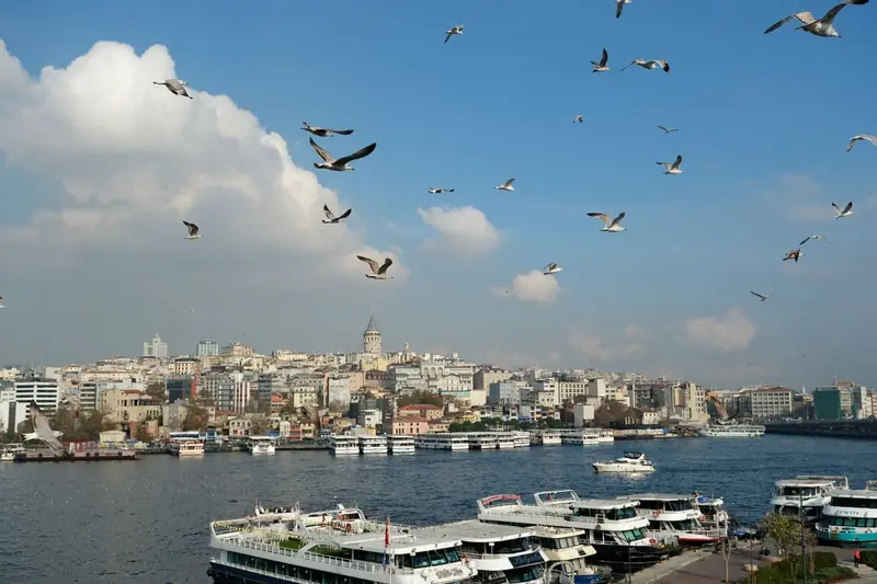 Gulls over the Bosphorus, the Galata Tower and ferries under Istanbul's blue sky